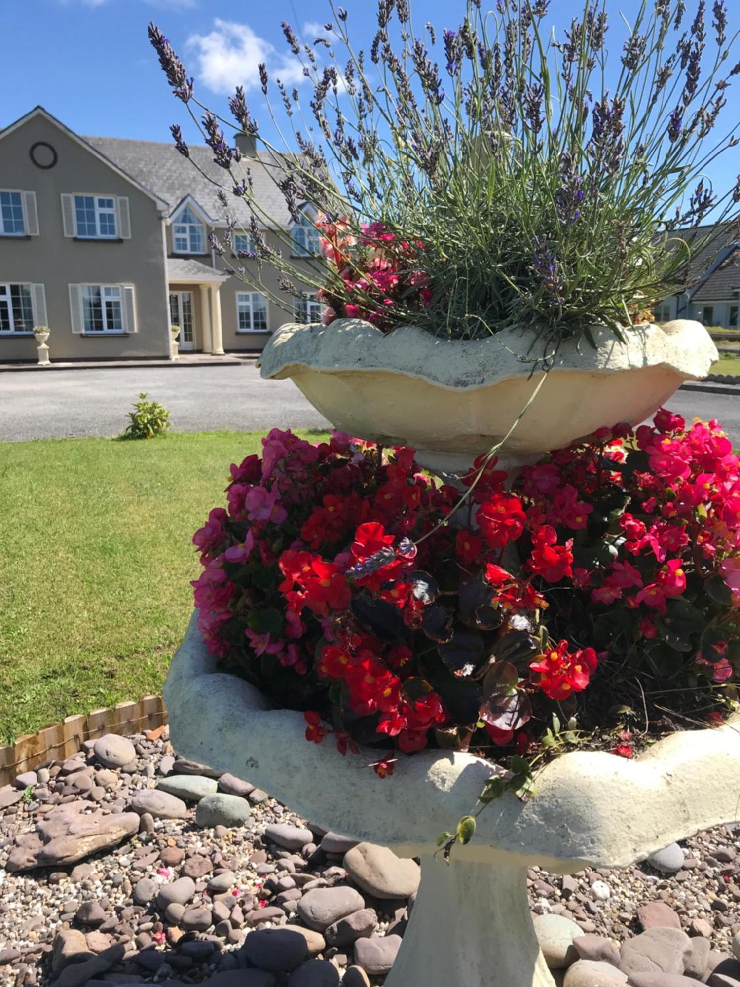 ווטרוויל Kielty'S Of Kerry Bed And Breakfast מראה חיצוני תמונה